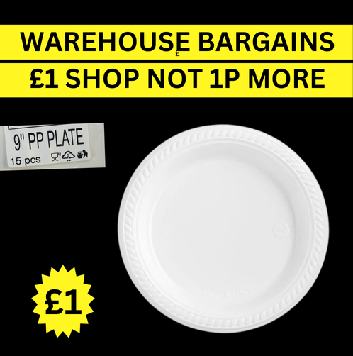 9inch Plates pack of 10